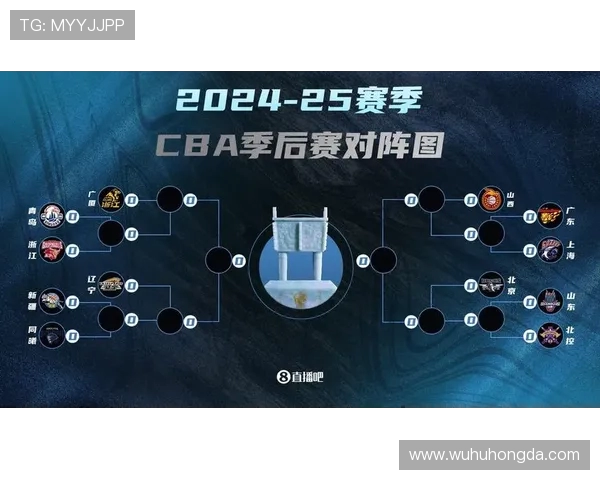 CBA季后赛精彩回顾辽宁对阵福建全场录像分享与分析