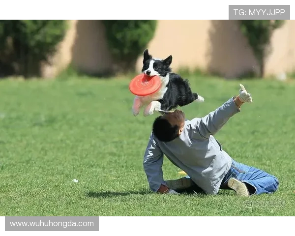 重庆飞盘队在极限运动世界杯上的拼搏历程与荣耀时刻