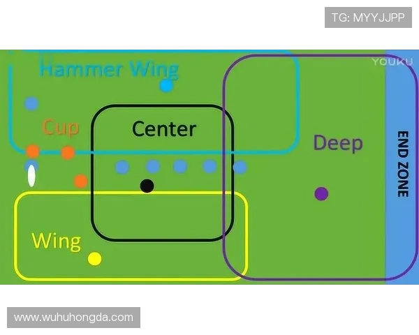南京飞盘队区域防守战术解析与实战应用探讨